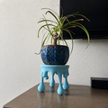 Dripping Plant Stand with Hidden Compartment