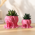 Melting Brain Plant pot + Removable Sleeve