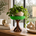 Tree Plant Stand