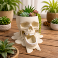 Skull with Gold Tooth Plant Pot + Removable Jaw Drip Tray