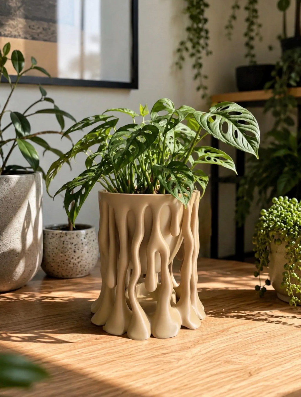 Dripping Plant Pot with Drip Tray