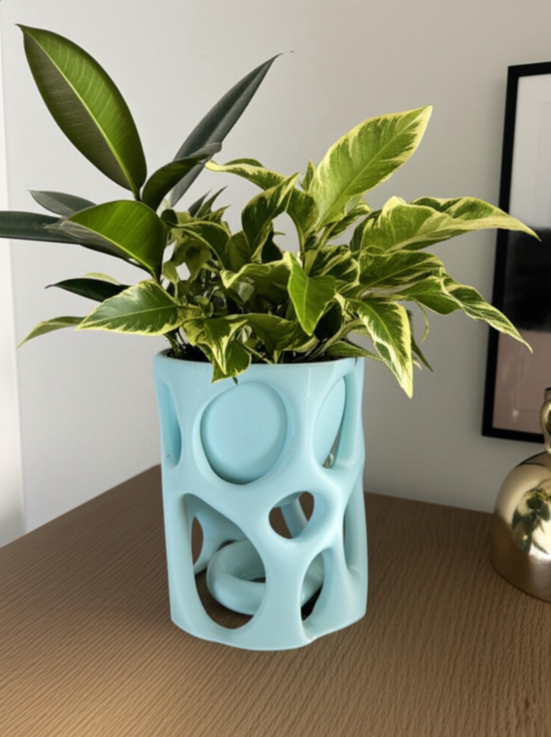 Organic Plant Pot + Drip Tray