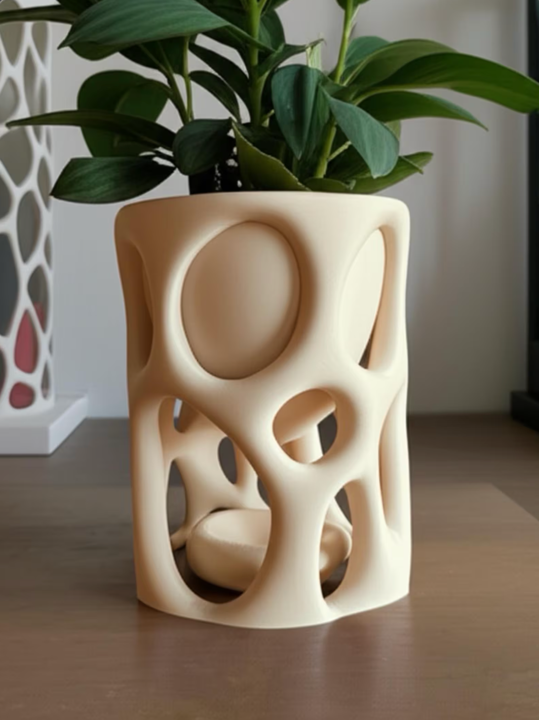 Organic Plant Pot + Drip Tray