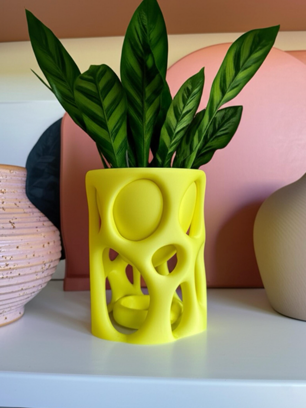 Organic Plant Pot + Drip Tray