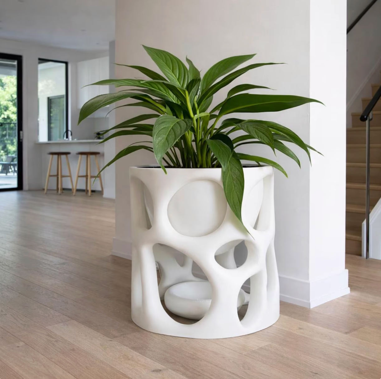 Huge Organic Plant Pot + Drip Tray