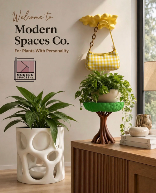 Huge Organic Plant Pot + Drip Tray