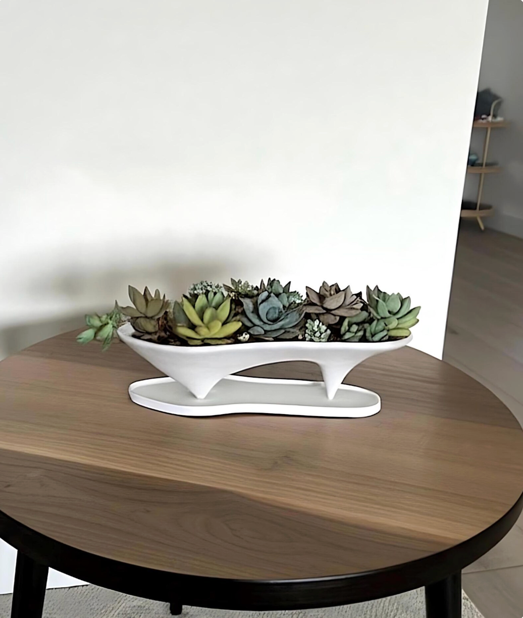 Island Succulent Planter + Magnetic Drip Tray