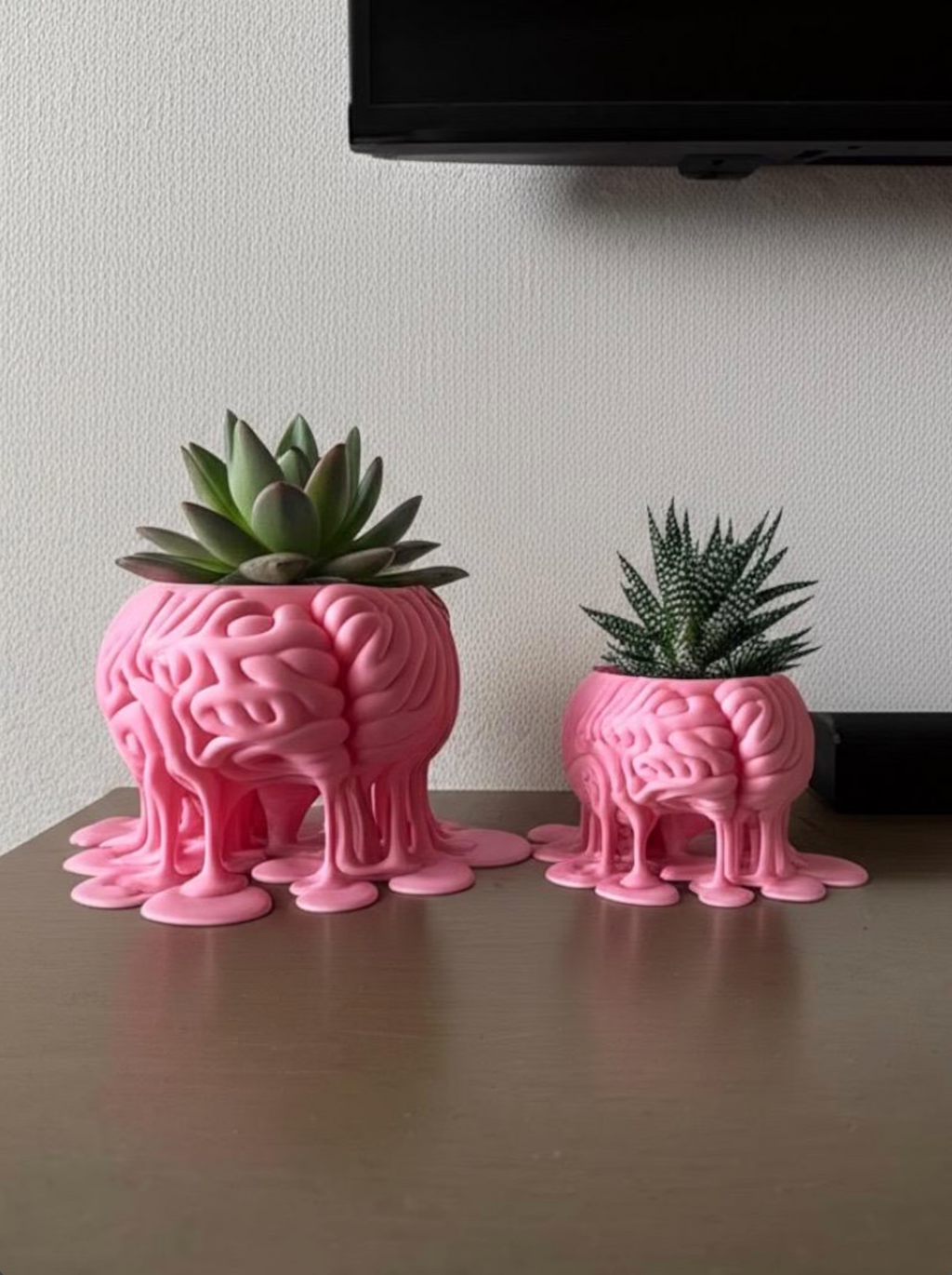 Melting Brain Plant pot + Removable Sleeve