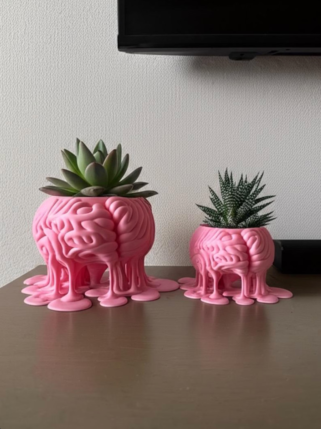 Melting Brain Plant pot