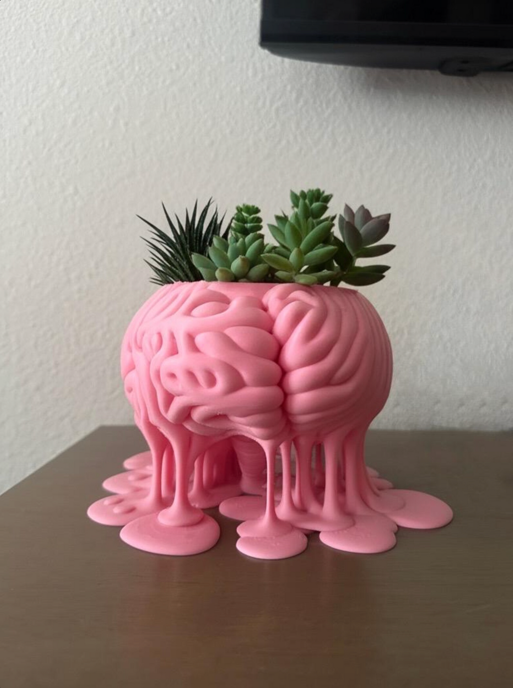 Melting Brain Plant pot + Removable Sleeve