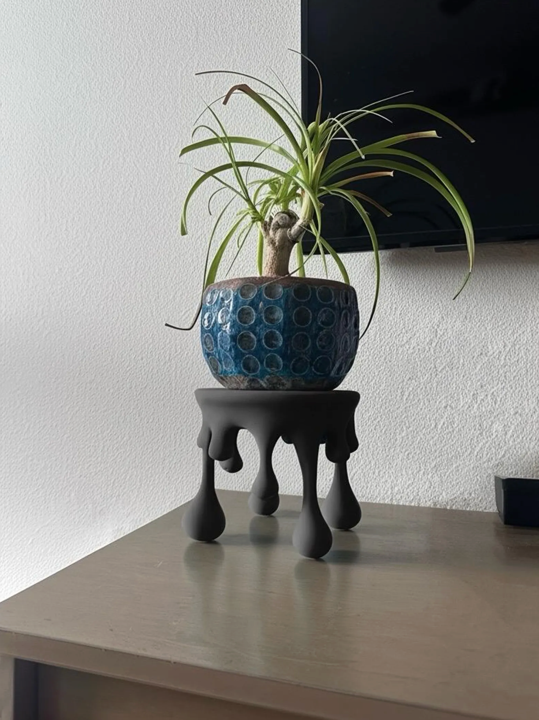 Dripping Plant Stand with Hidden Compartment