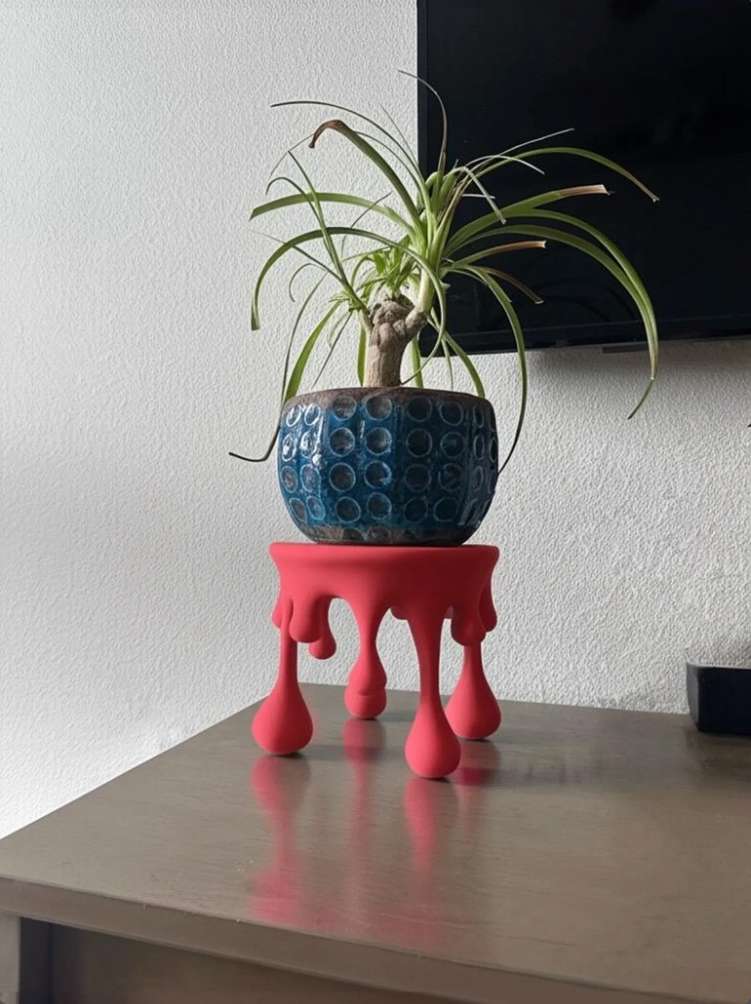 Dripping Plant Stand with Hidden Compartment