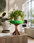 Tree Plant Stand