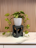 Organic Plant Stand